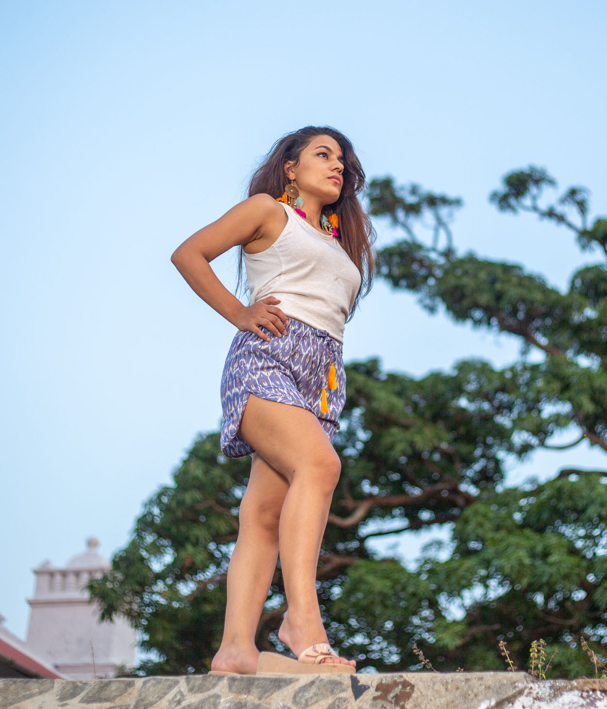 Blue Patterned Ikat Womens Shorts
