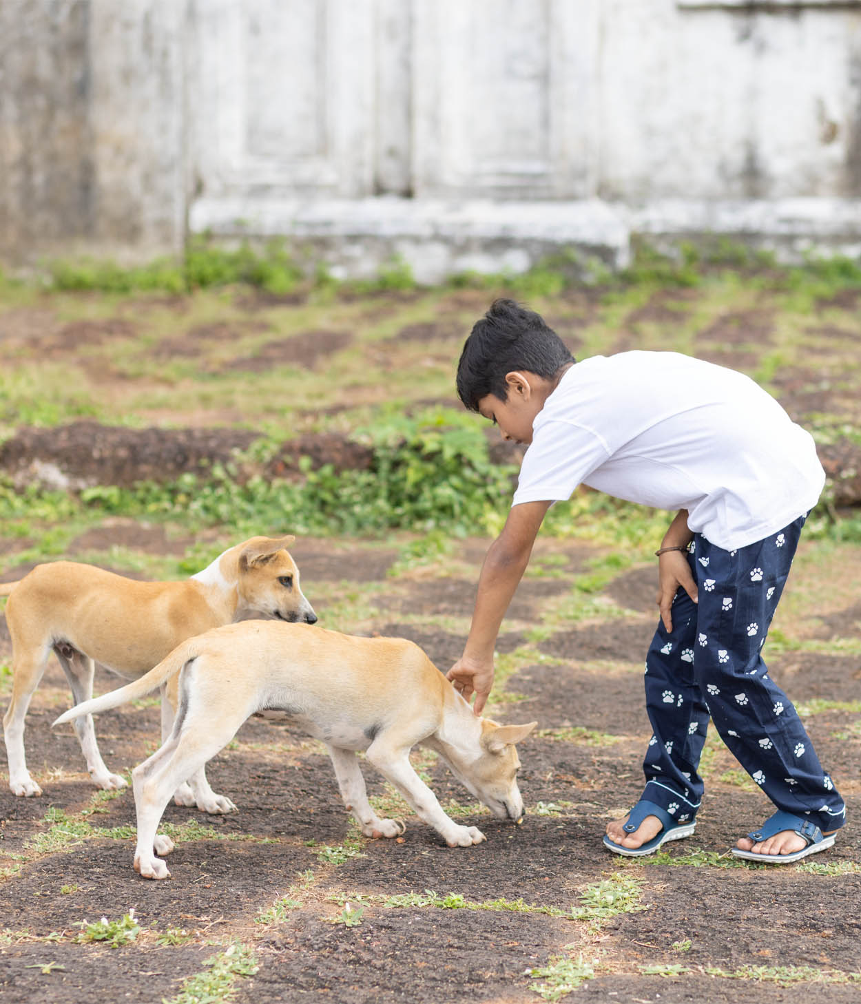 Paws Navy Printed Kids Pyjama