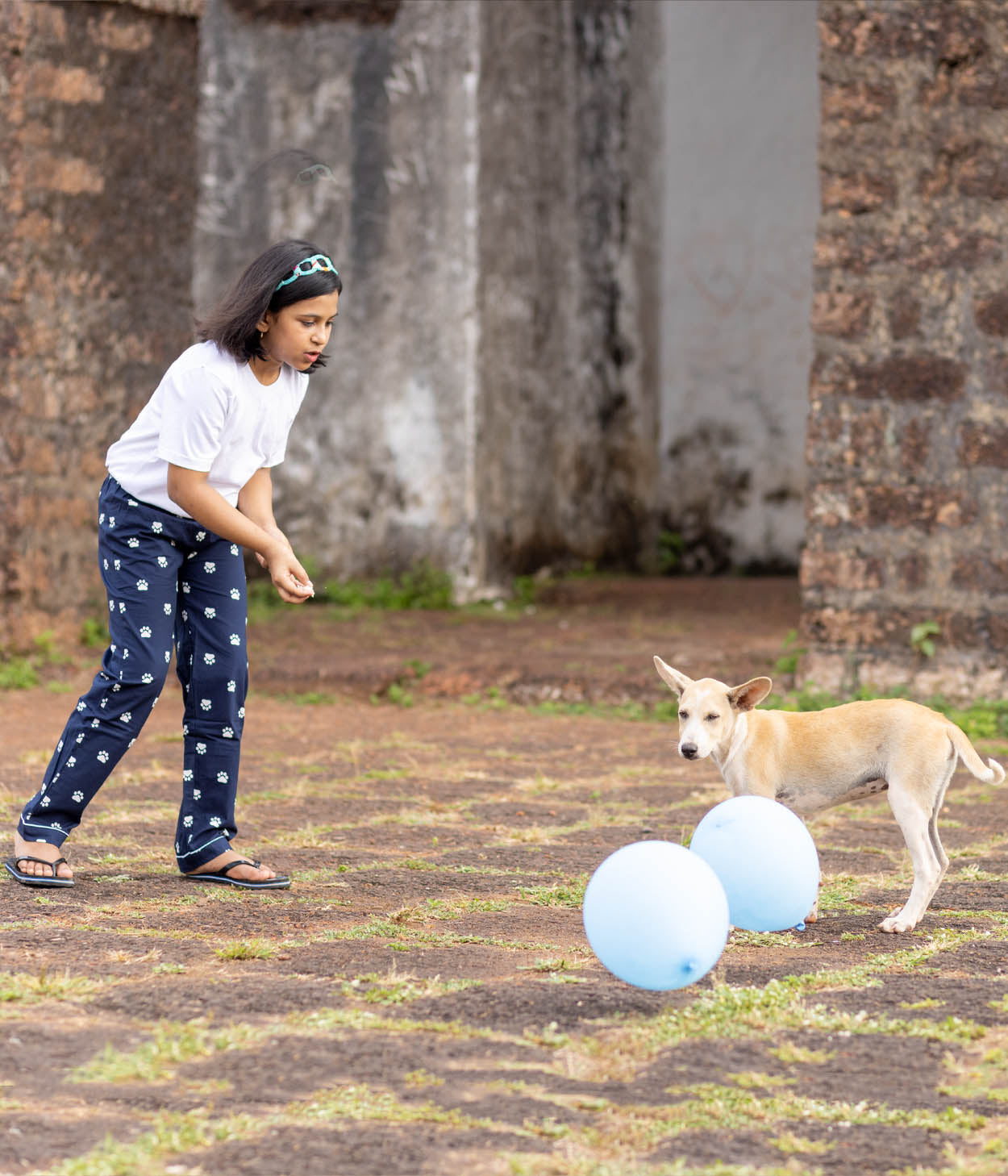 Paws Navy Printed Kids Pyjama